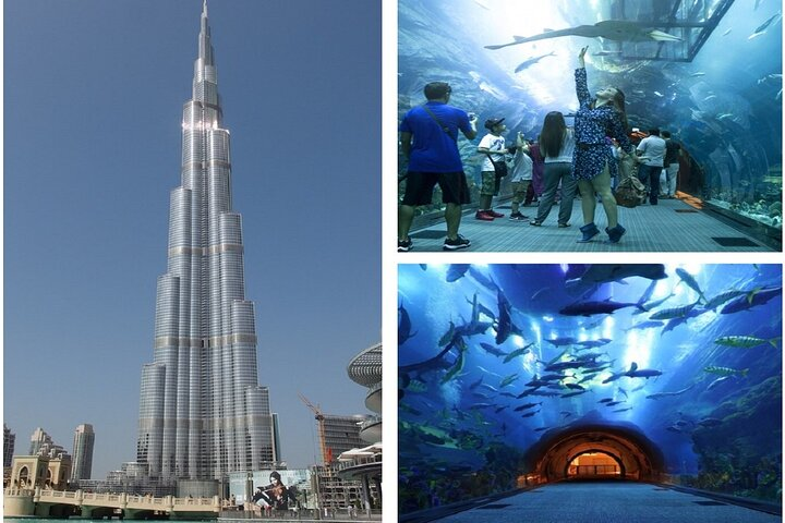 Ascend the Burj Khalifa for stunning skyline views then dive into the Dubai Mall Aquarium to explore diverse underwater life and come face-to-face with the majestic King Croc.